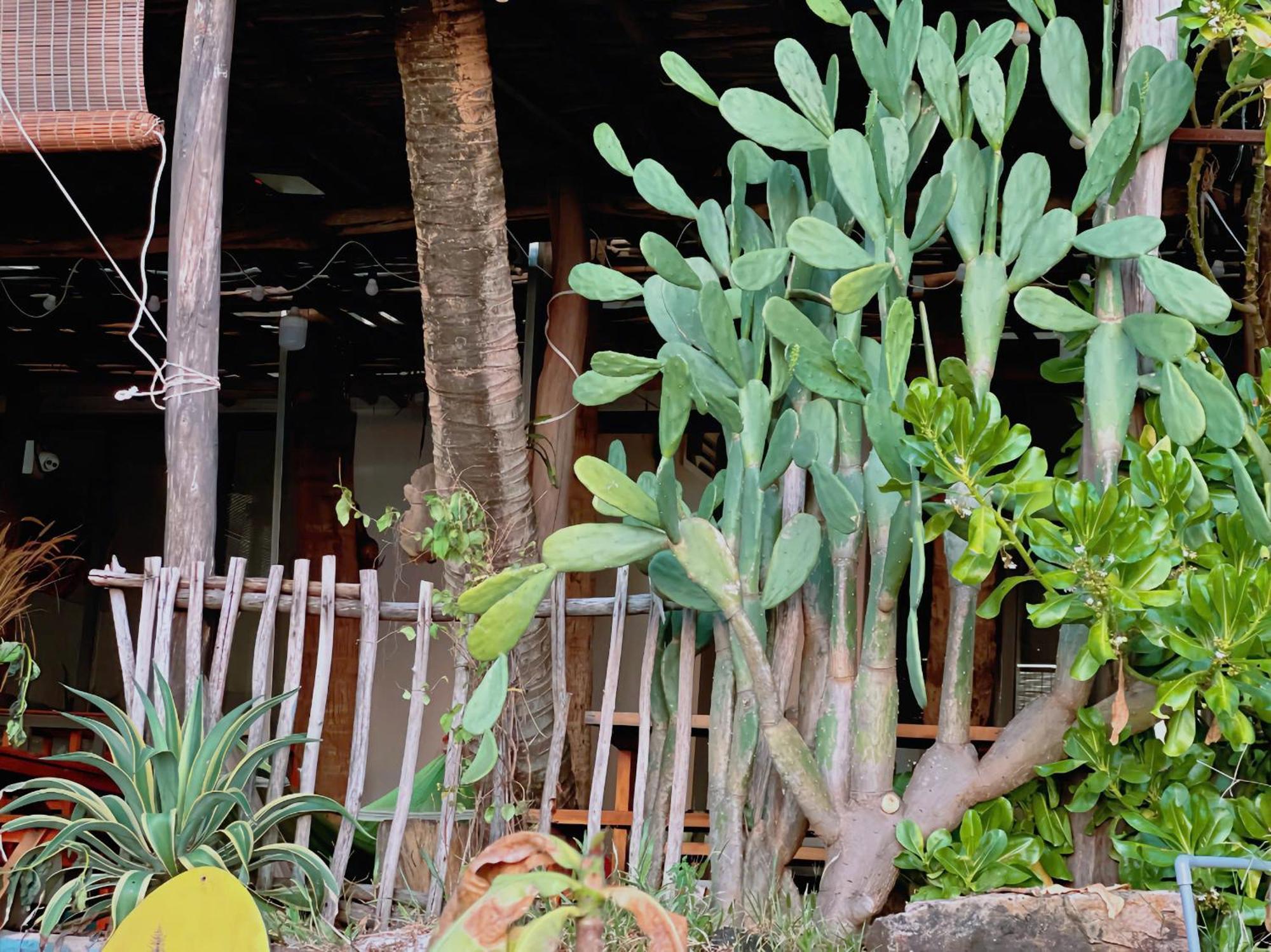 Apartamento Soho 1 Phu Quoc Exterior foto
